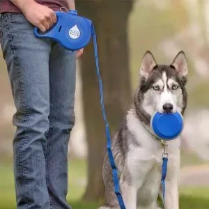 Aqua Leash, 5 In 1 Pet Essentials , Dog Walking Essentials All in one! — photo 5